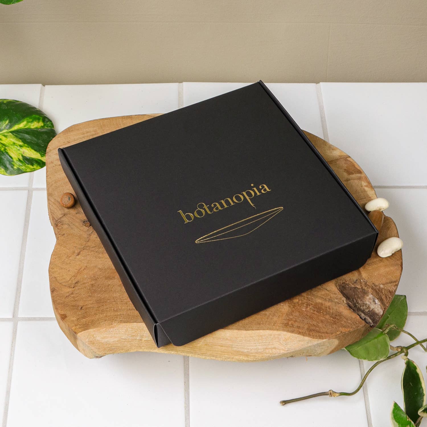 Botanopia - gifts , decor and cards for plant lovers - Wholesale Zaadjes voor platten - Deluxe Cadeauset – Kiemen en Kweken op water10