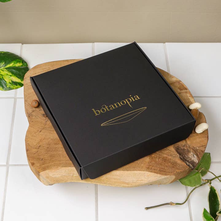 Botanopia - gifts , decor and cards for plant lovers - Wholesale Plant Seeds - Deluxe Gift Box – Germination & Propagation in water10