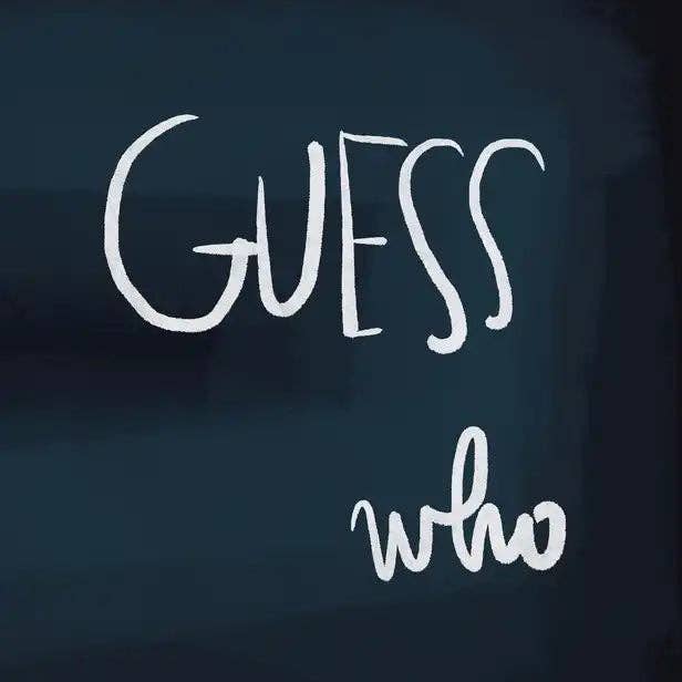 Books by splitShops - Wholesale Baby & Toddler Book (0-2) - Guess Who - Hardcover