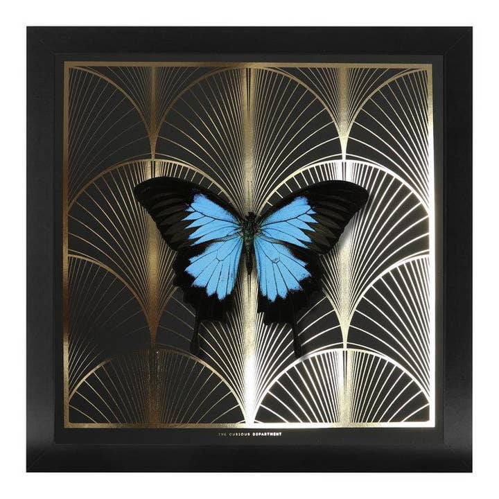 DECO FAN Ulysses: guld/sort for engroshandel hos The Curious Department