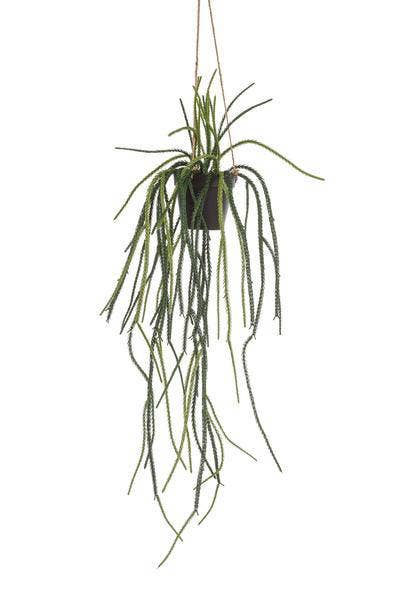 Oasis of Life - Wholesale Artificial Plant - Artificial Plant Rhipsalis – Coral Cactus – 85cm – High-quality Artificial Hanging Plant without Thorns – Evergreen Decorative Plant for Living Room, Office & Interiors – Maintenance-free & Durable0