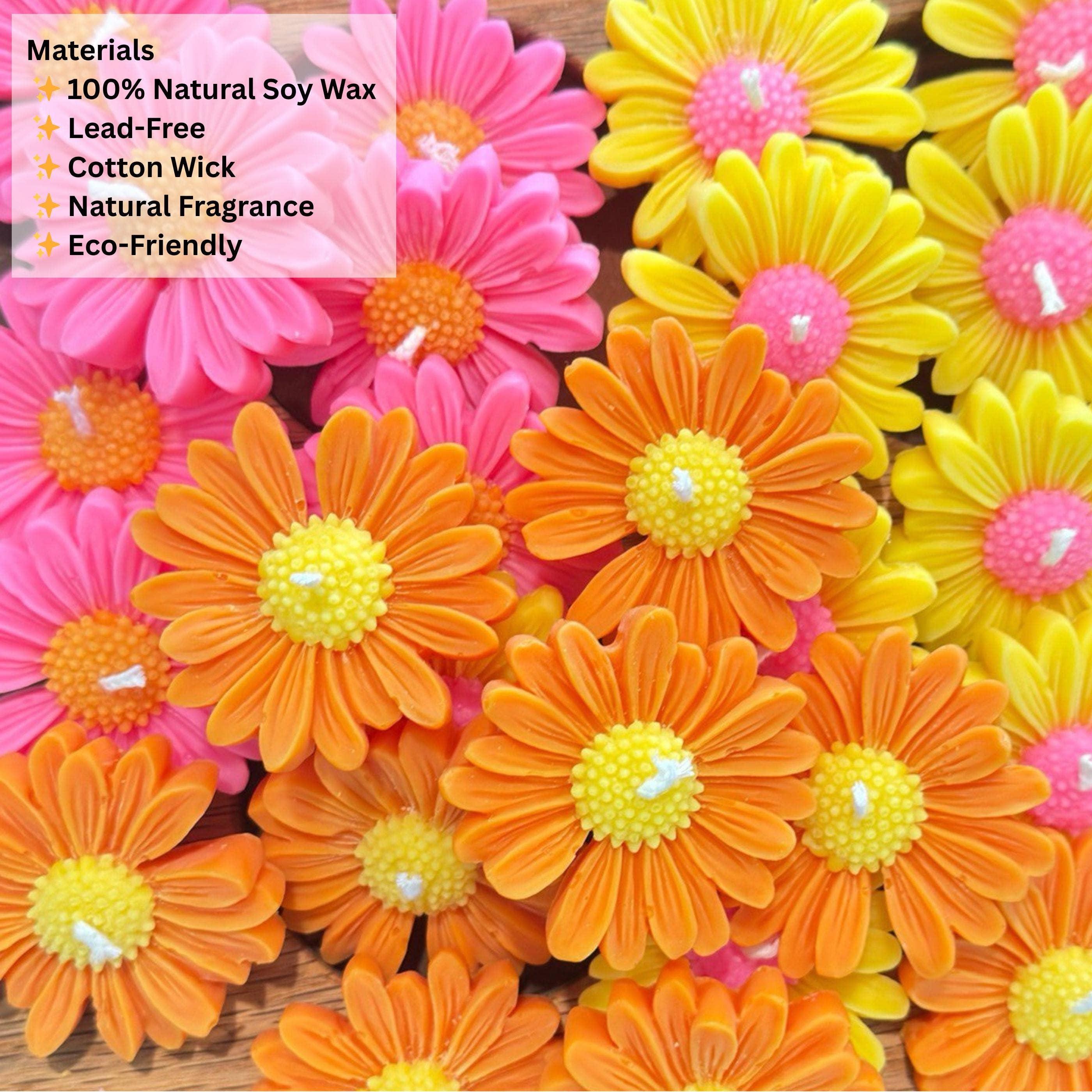 Karly’s Candles - Wholesale Party Favor - Madeliefje Sojakaars Bedankjes voor Bruiloften & Babyshowers4