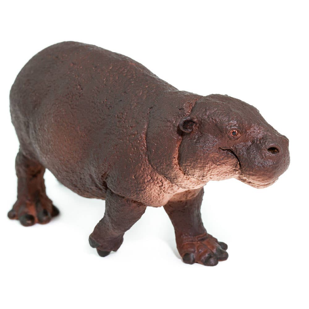 Safari Ltd. - Wholesale Figurine Toy - Kids - Pygmy Hippo - 2292294