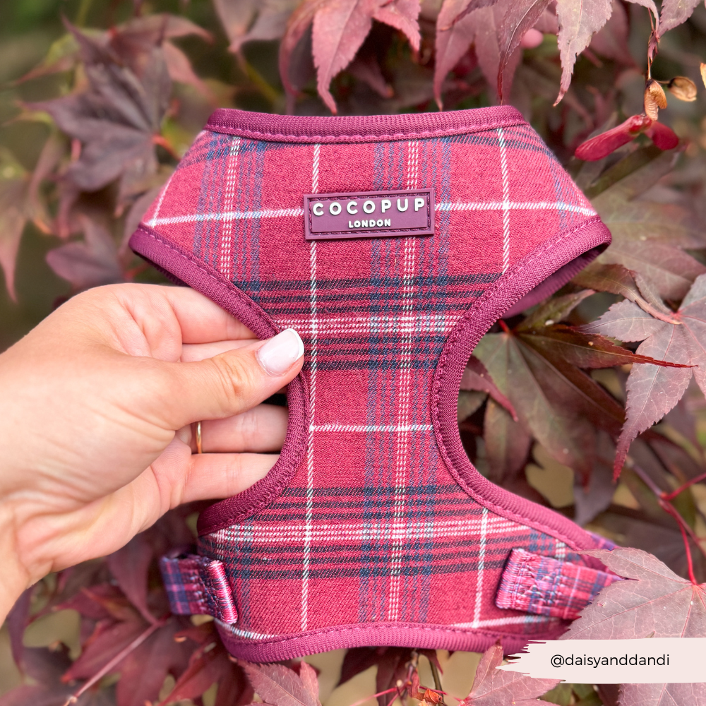 Cocopup London - Wholesale Pet Harness - Dog - Mulberry Plaid Adjustable Neck HARNESS8
