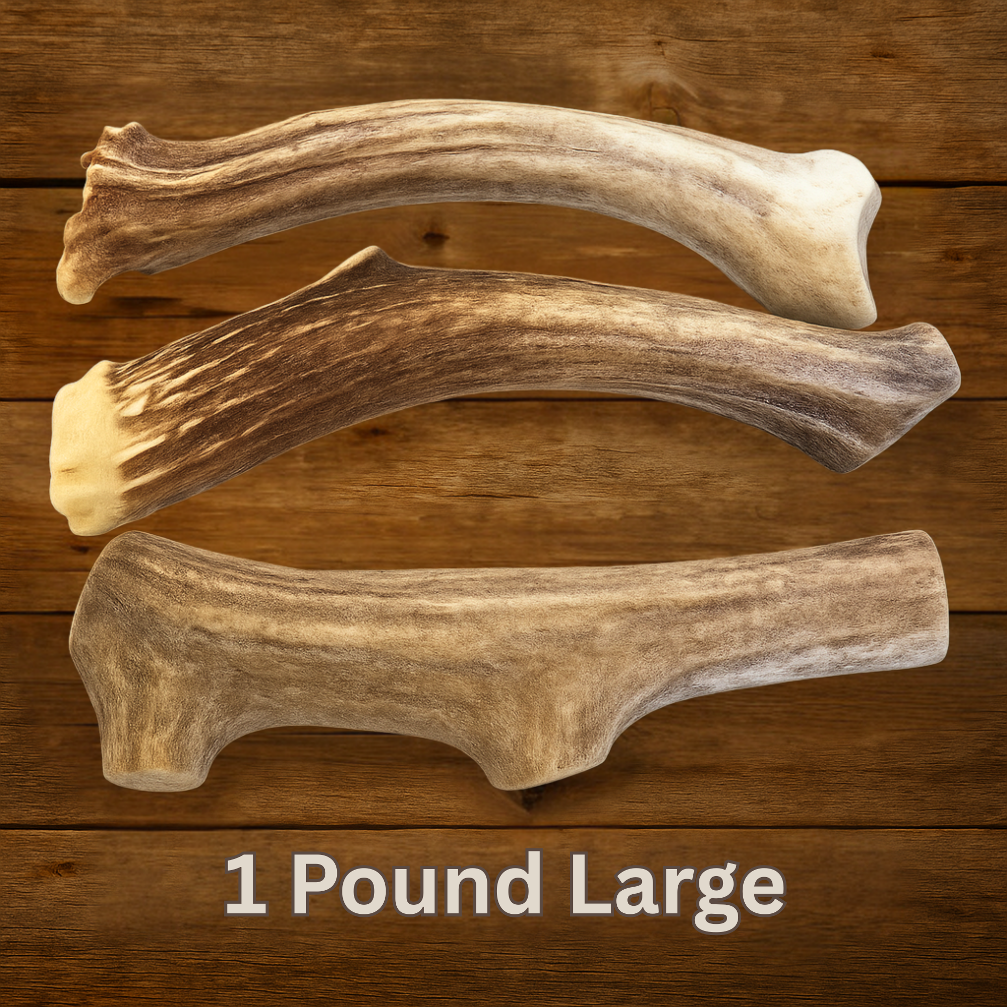 WhiteTail Naturals – wholesale Hundben/bitleksak - Hund – Stora hela hjorthornsgnagare - säljs per pund4