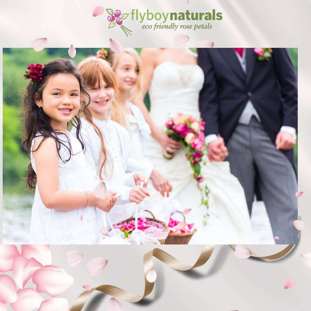 Flyboy Naturals Rose Petals - Wholesale Dried/pressed flowers - Bridal White/Ivory Freeze-Dried Rose Petals 30 Cups USA18
