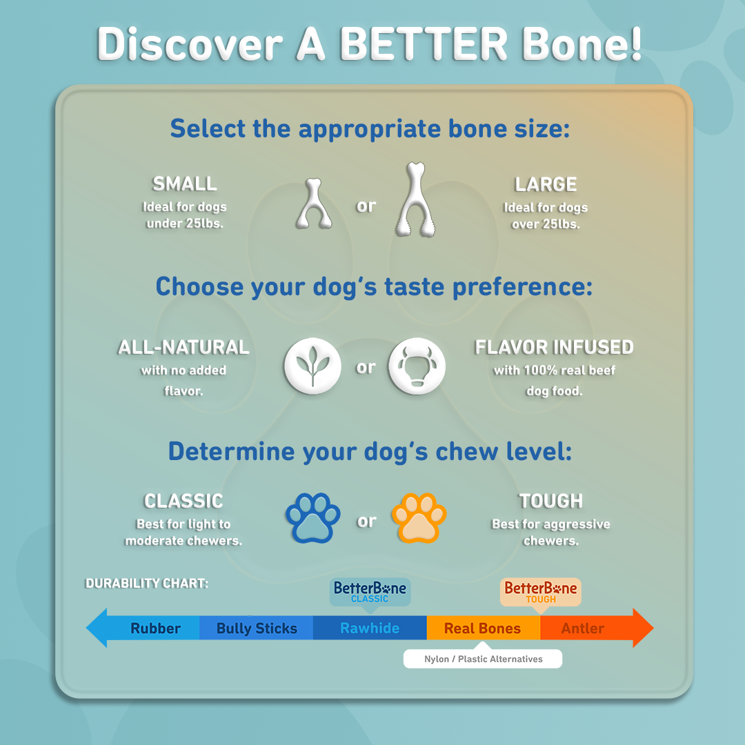 BetterBone Natural Dog Chews - Wholesale Pet Chew Toy - Dog - BetterBone SOFT- All-Natural, Safer on Teeth, Sustainable9