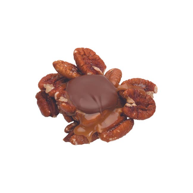 Coblentz Chocolate Company - Wholesale Chocolate Covered Sweets - Milk Chocolate Pecan Snappers, Bulk