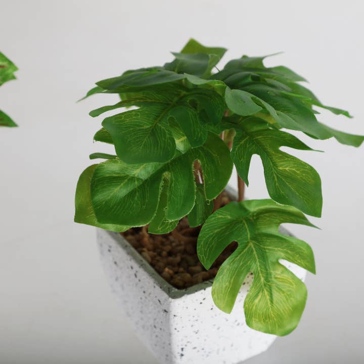 B&B - Vente Pot - Plante Assortiment 4 En Ciment Multicolore 12X12X14cm2