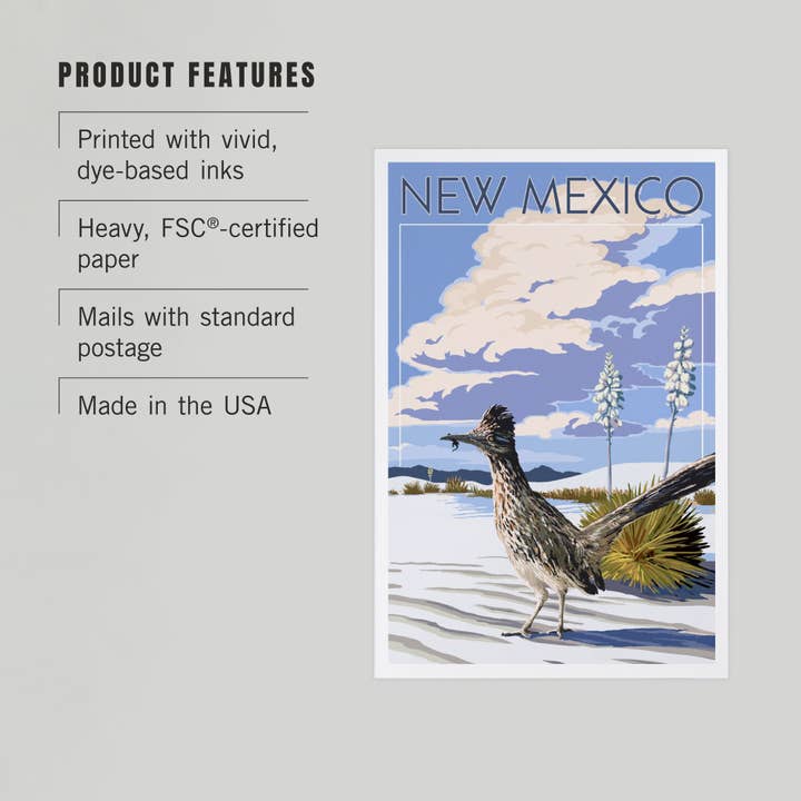 Lantern Press - Vente Cartes postales - CARTES POSTALES PREMIUM Nouveau-Mexique, scène Roadrunner2