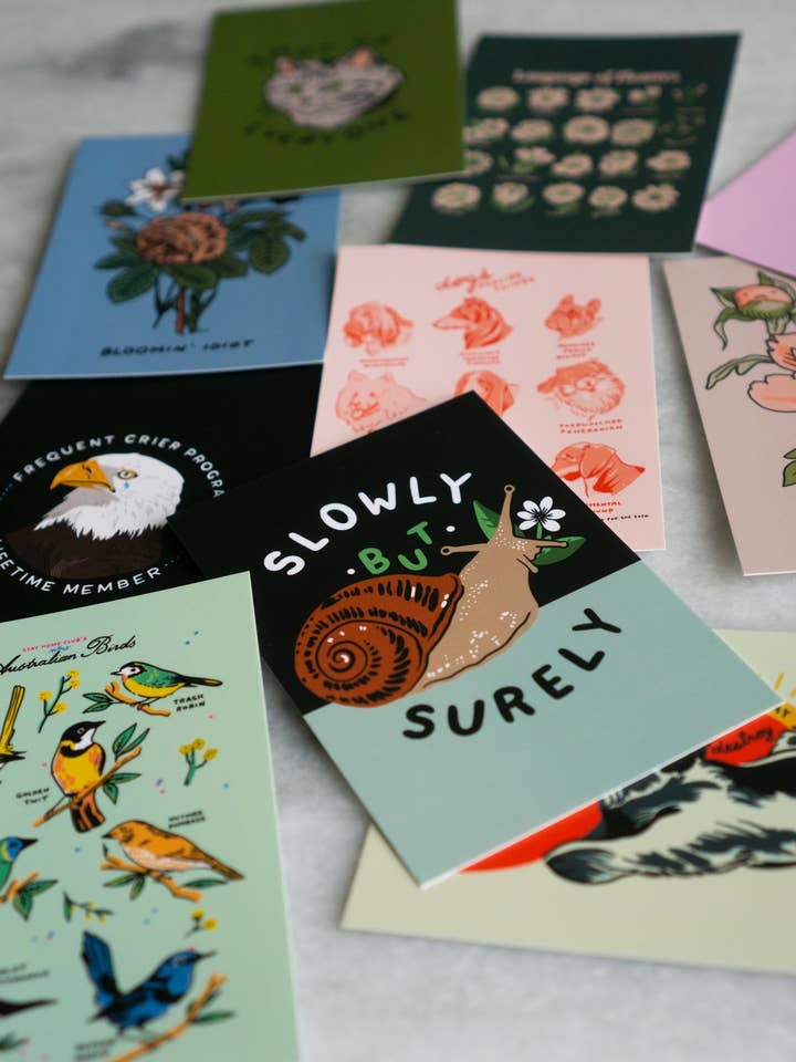 SHC 20 Postcard Pack for wholesale by Stay Home Club