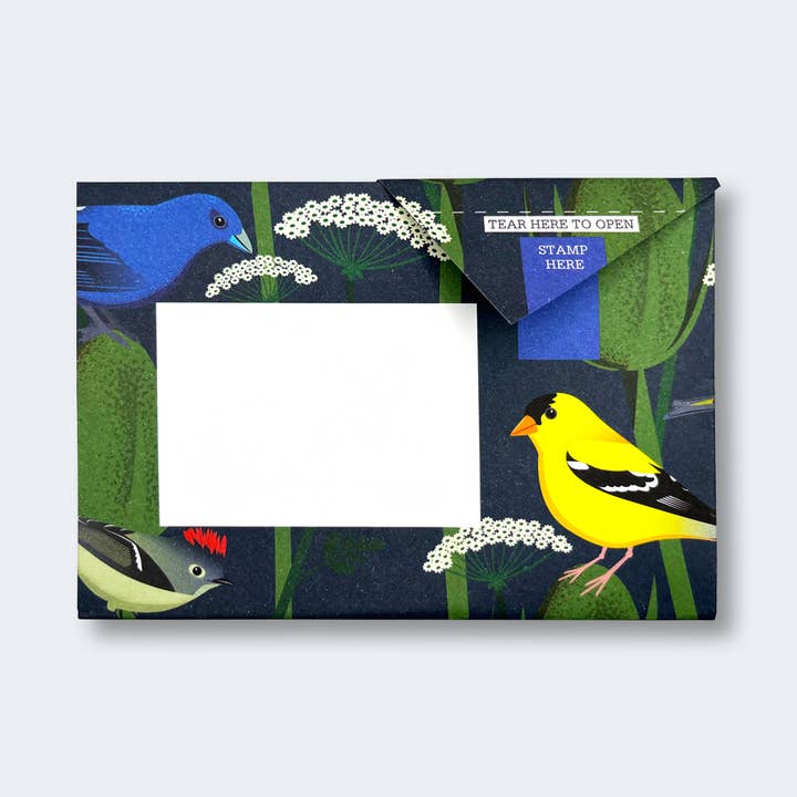 pigeonposted - Wholesale Stationery/Notecard Set - Carnival of Colour Pigeon letter pack