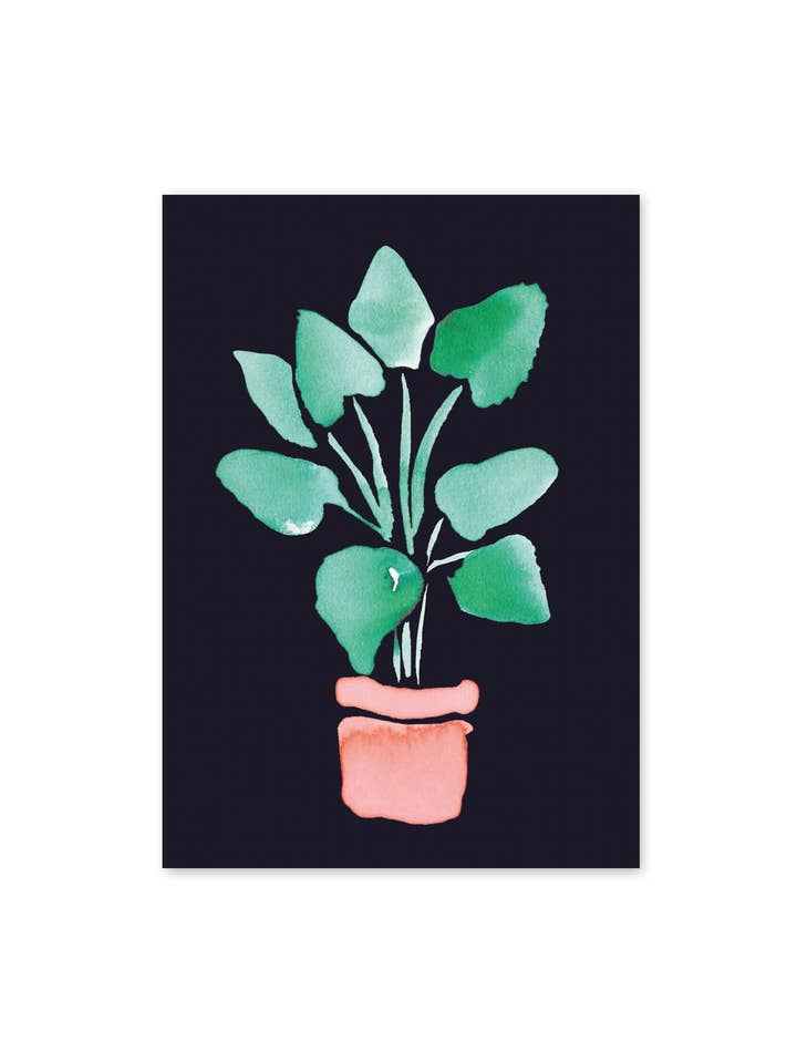 20.1 elefant ører for engroshandel hos Anna Maria Musch