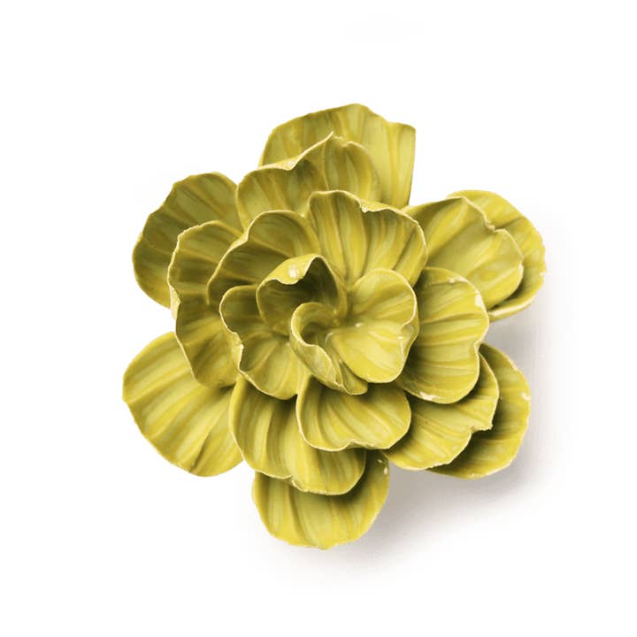 February Birth Flower - Primrose for wholesale by Chive