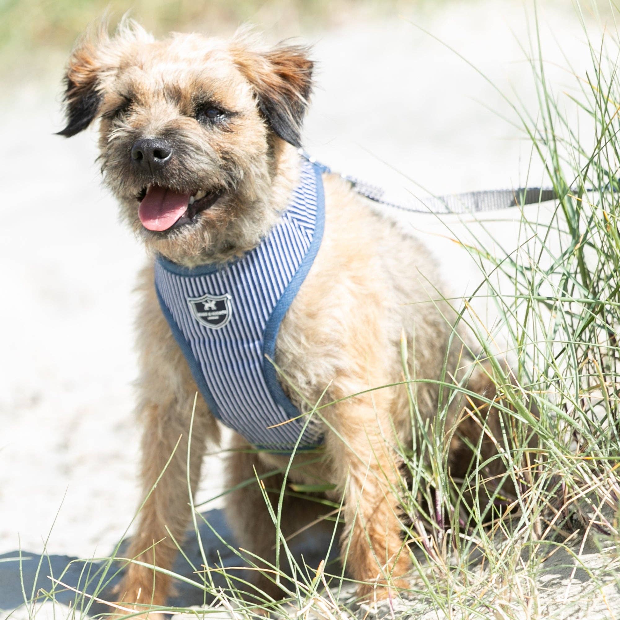 Hugo & Hudson - Wholesale Pet Harness - Dog - Fabric Dog Harness - Striped Navy1