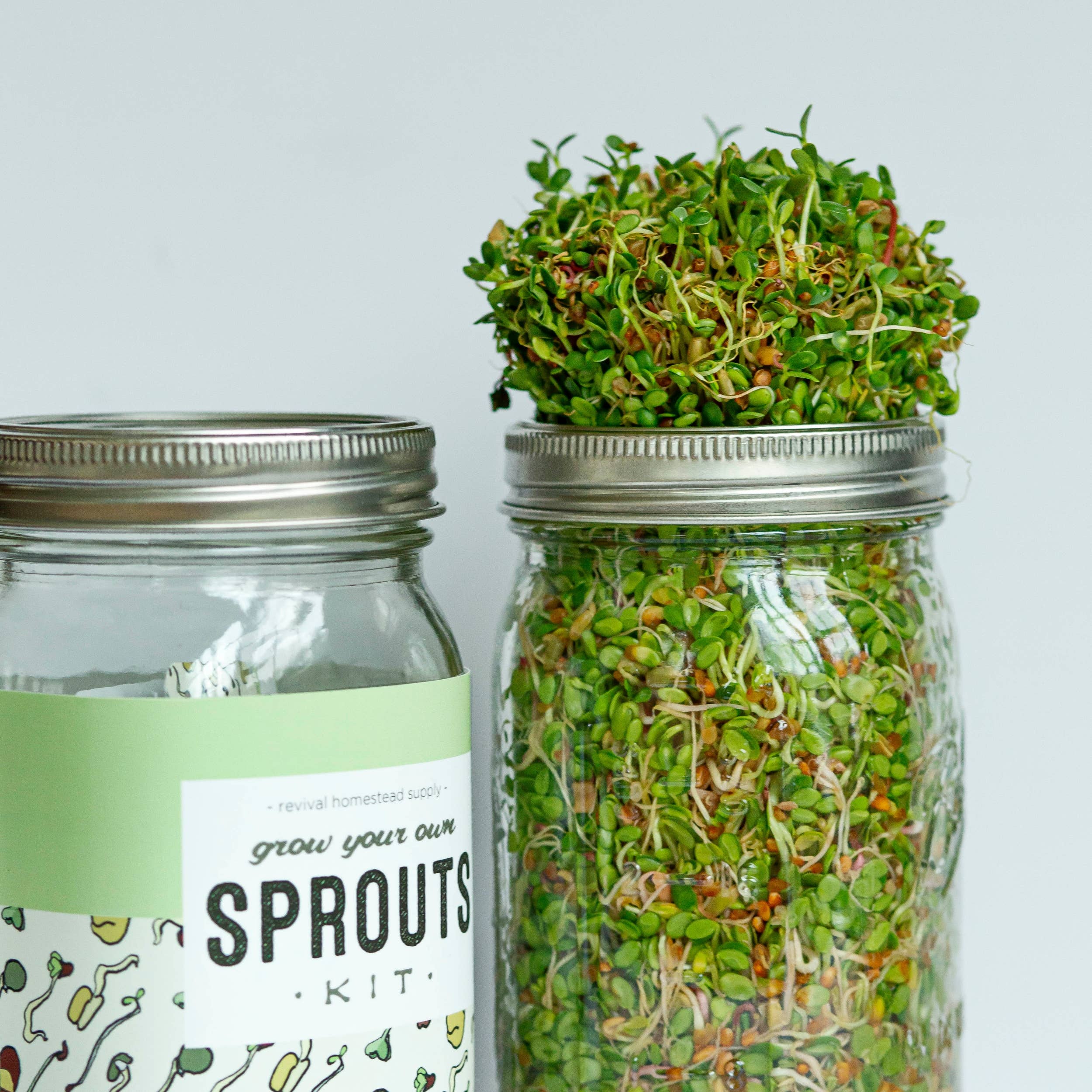 Revival Homestead Supply - Wholesale DIY Food Kit - Sprout Kit, Grow Your Own, DIY8