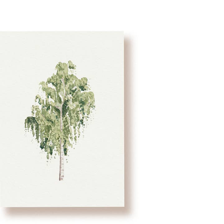 Björk | vykort för wholesale av tucán y limón