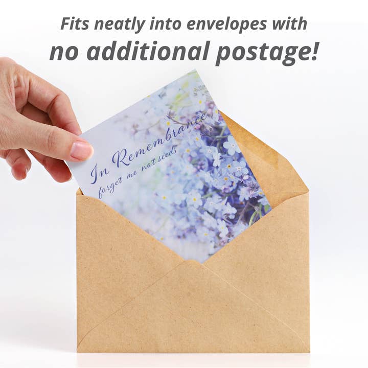 Bentley Seed Co. - Wholesale Plant Seeds - In Remembrance Love Left Behind Forget Me Not Seed Packets4