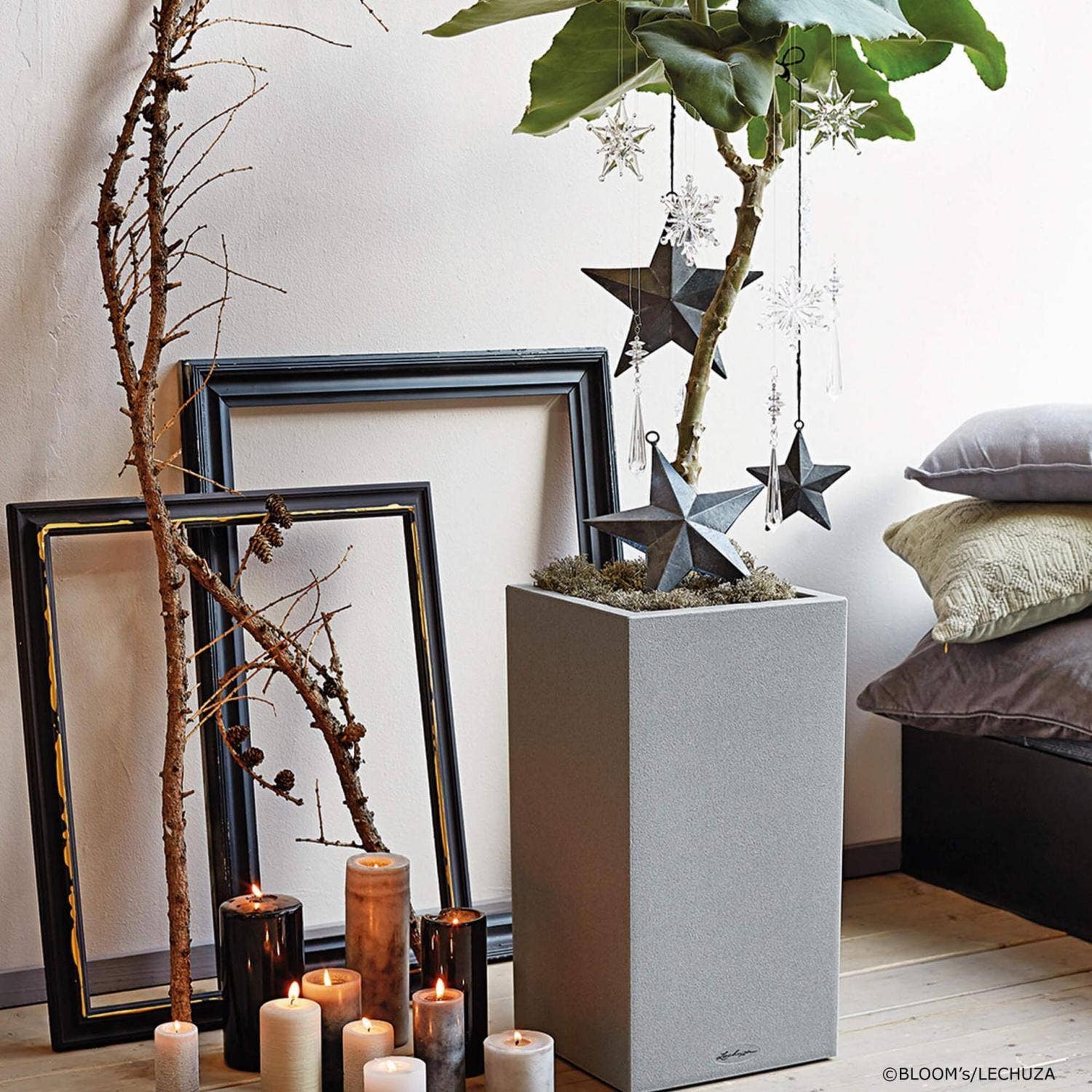 Lechuza Self Watering Planters - Vente Jardinière - LECHUZA CANTO Stone haut - grand pot de sol en résine poly haute qualité7