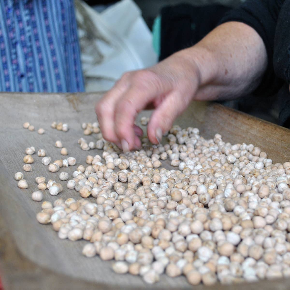 A.G.R. s.r.l. - Wholesale Beans - ORGANIC white chickpeas 400g. [EU only]5