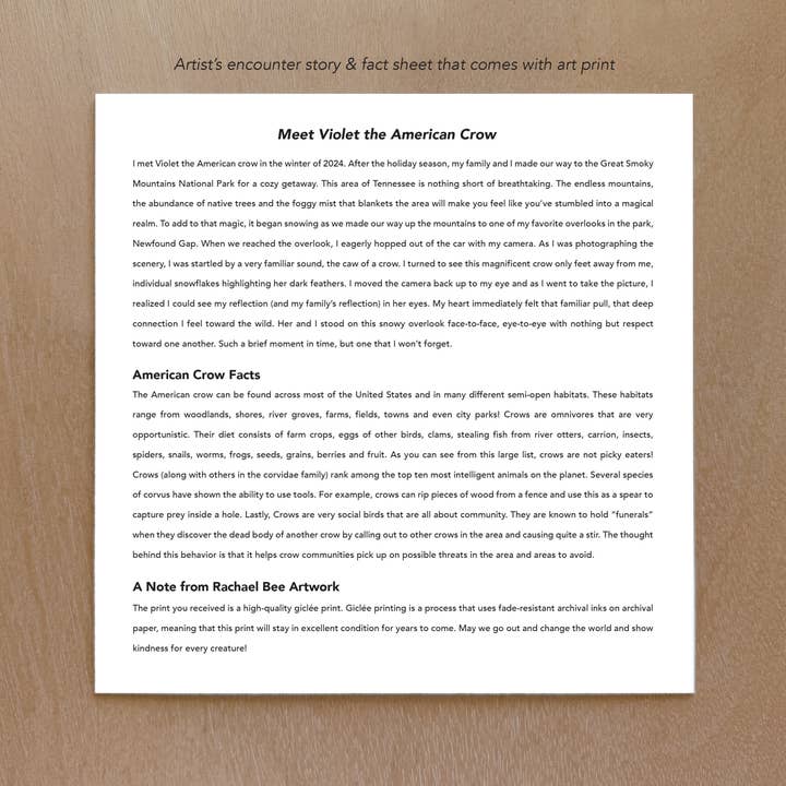 Rachael Bee Artwork - Wholesale Art Print - American Crow Art Print2