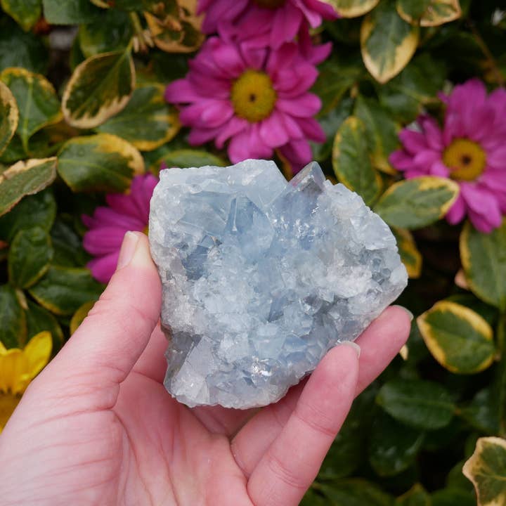 The Healing Sanctuary - Wholesale Spiritual Stone/Crystal - Celestite Druzy Clusters - 6 piece flat1
