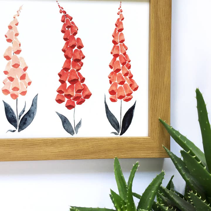 Vingerhoedskruid aquarel A4 print voor wholesale door ZoeLathamDesigns