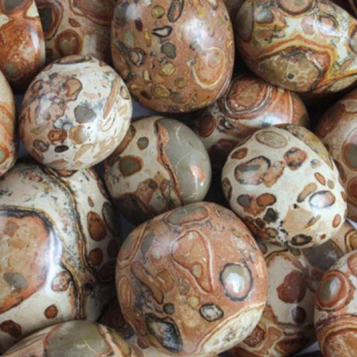 La Boîte à Cailloux - Wholesale Spiritual Stone/Crystal - Leopard Jasper Peru A+ (tumbled stone)