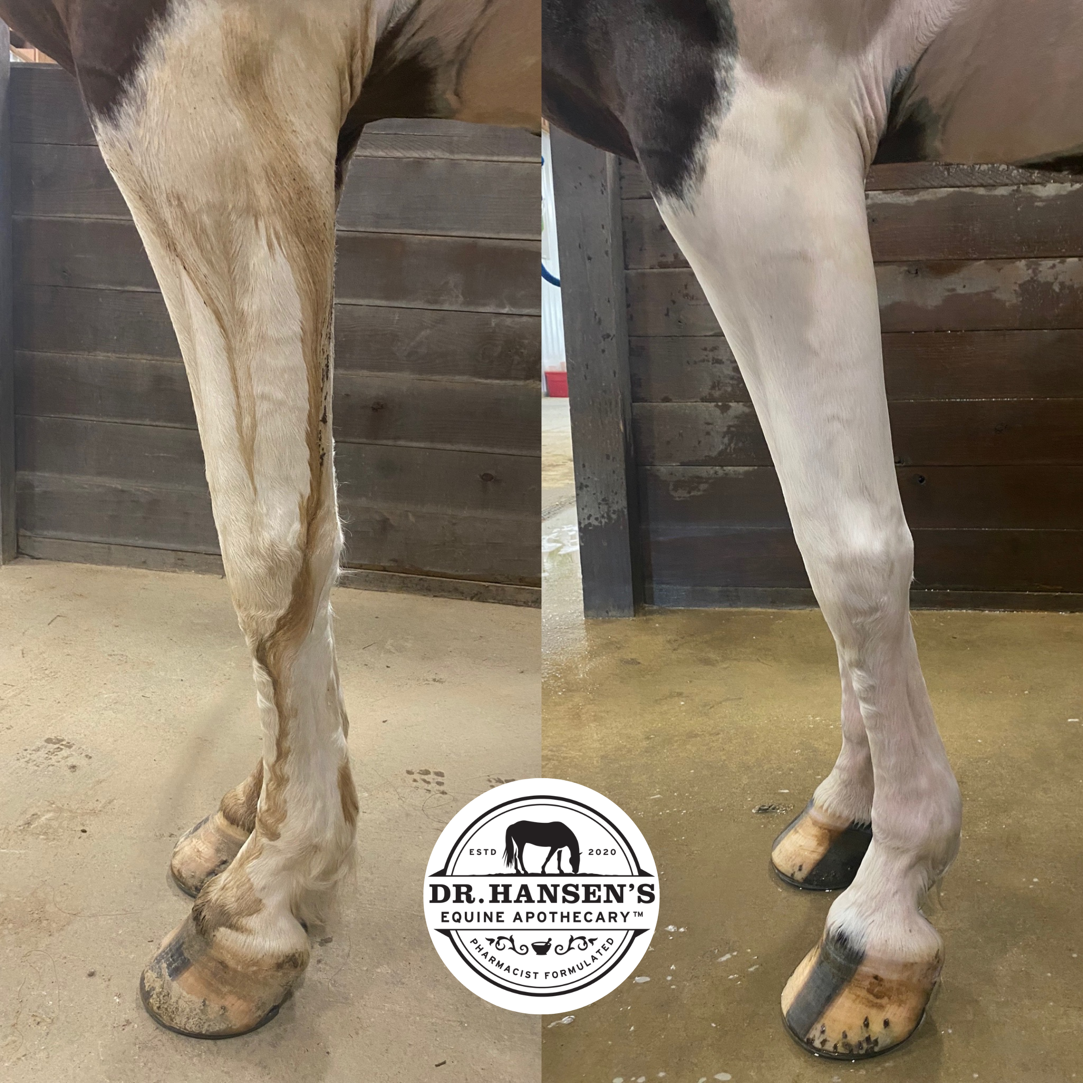 Dr. Hansen's Equine Apothecary - Wholesale Horse Conditioner/Grooming Aid - Unicorn Foaming Shampoo12