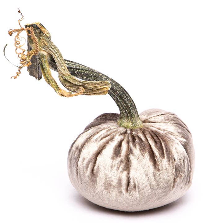 Platinum Silk Velvet Pumpkin for wholesale by Hot Skwash