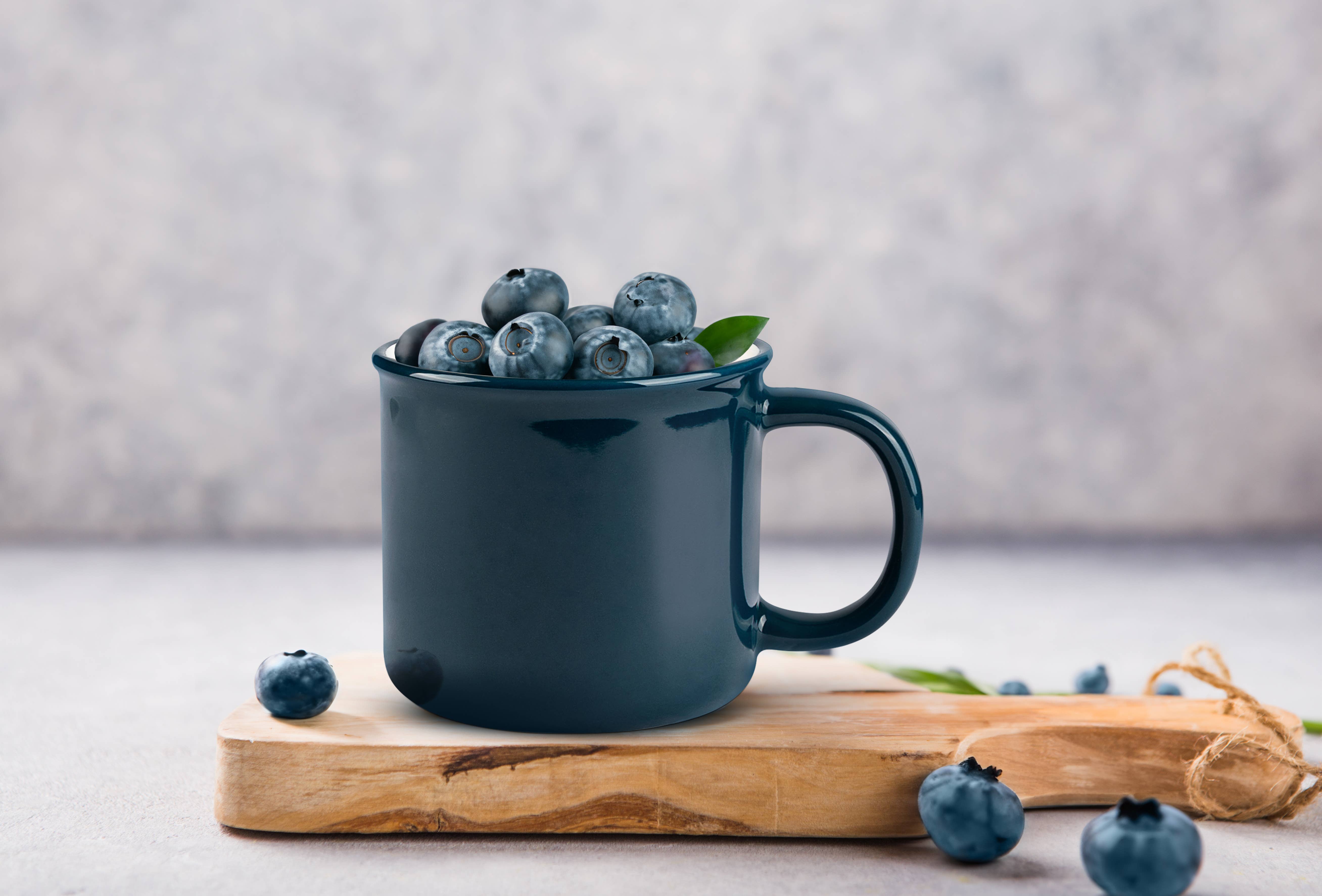 Kook - Wholesale Coffee Mug - Kook Ceramic Camper Mugs, 14 oz, Navy Blue, Set of 25