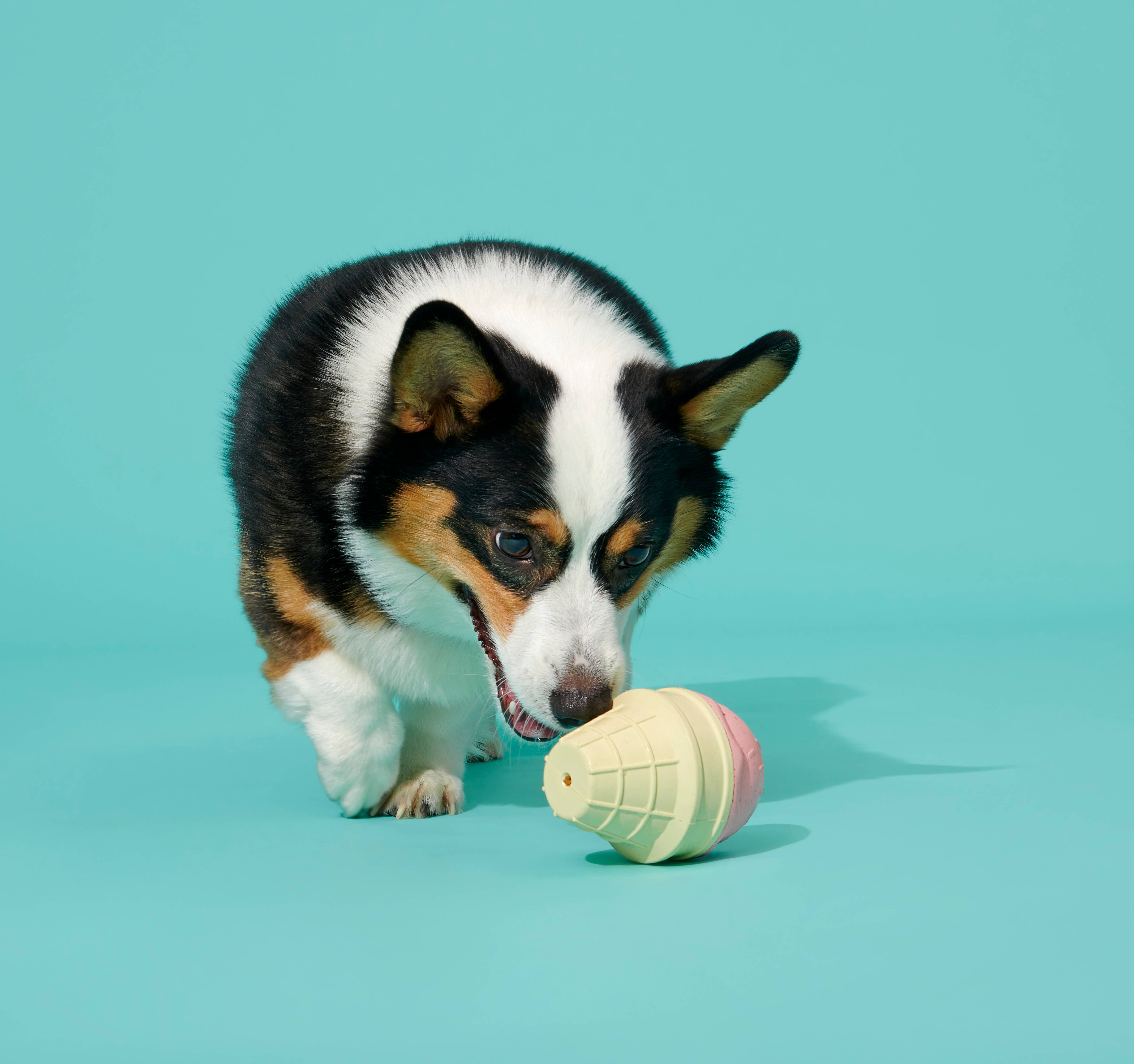 Pet Palette Distribution - Wholesale Pet Chew Toy - Dog - BARK Super Chewer I-Squeak Cone Dog Toy Medium-Large6