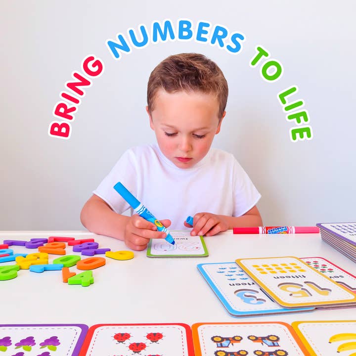 Curious Columbus - Wholesale Learning Cards - Kids & Baby - Flashcards and 123 Magnetic Numbers8