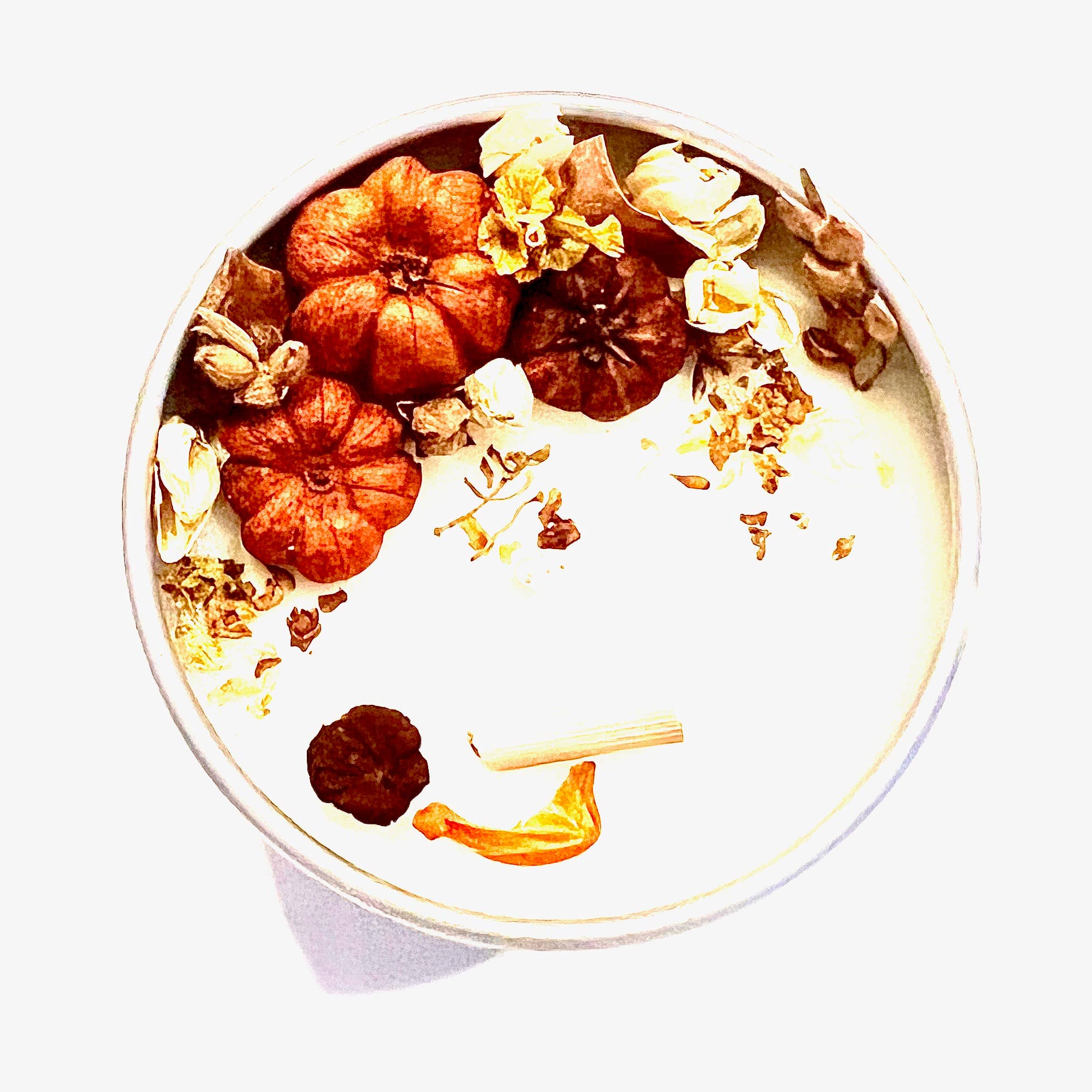 No Ennui - Wholesale Travel Candles - "Hello Pumpkin" Harvest Blend Fall/Autumn soy candle6