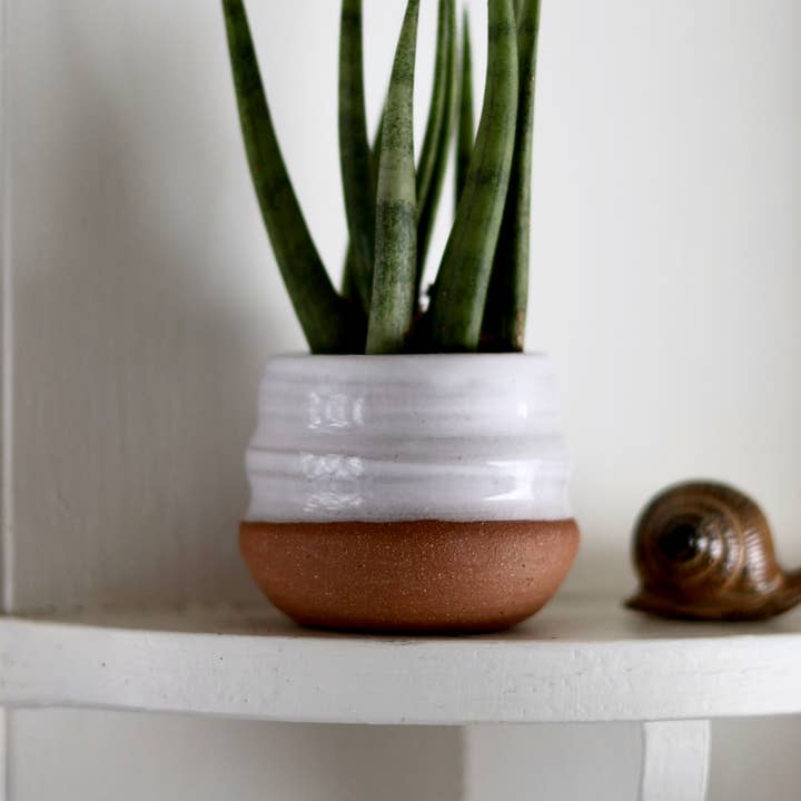 Gravesco Pottery - Wholesale Plant pot - Assorted Small Planter Pots | White 2 inch handmade3