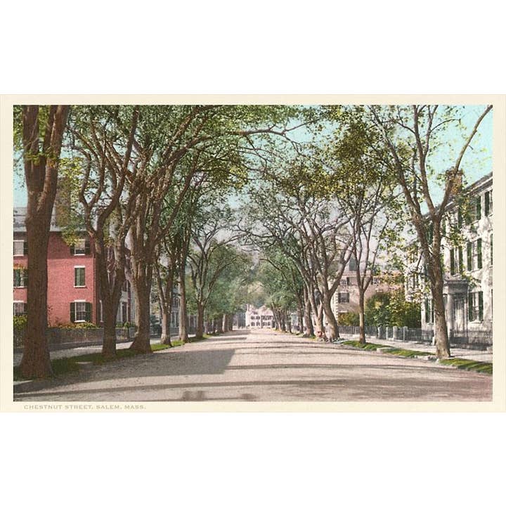 Postcard MA-170 Chestnut Street, Salem Mass. for wholesale by Found Image Press