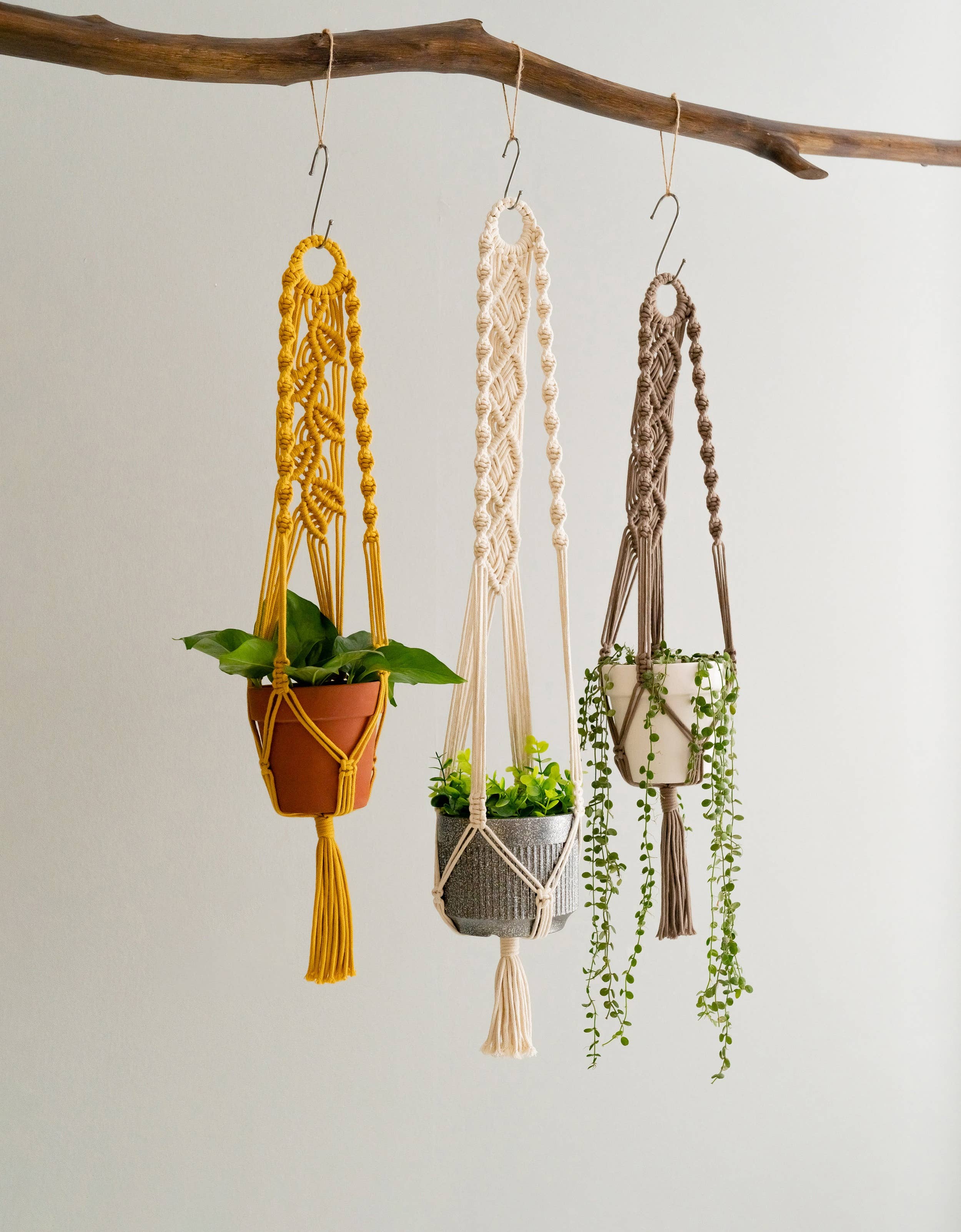 BeanDaikon – wholesale Hanging planter – Macrame Plant Hanger I7110