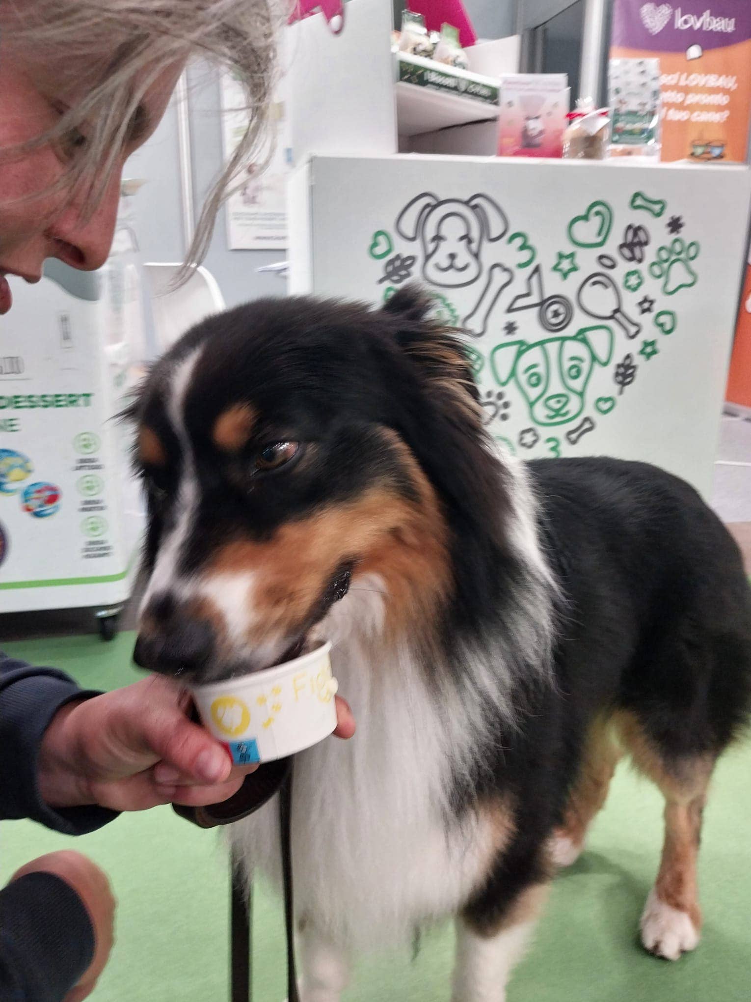 Lovbau srl - Wholesale Pet Treats - Dog - Ice cream for dogs Fido various flavors cups 50 g5