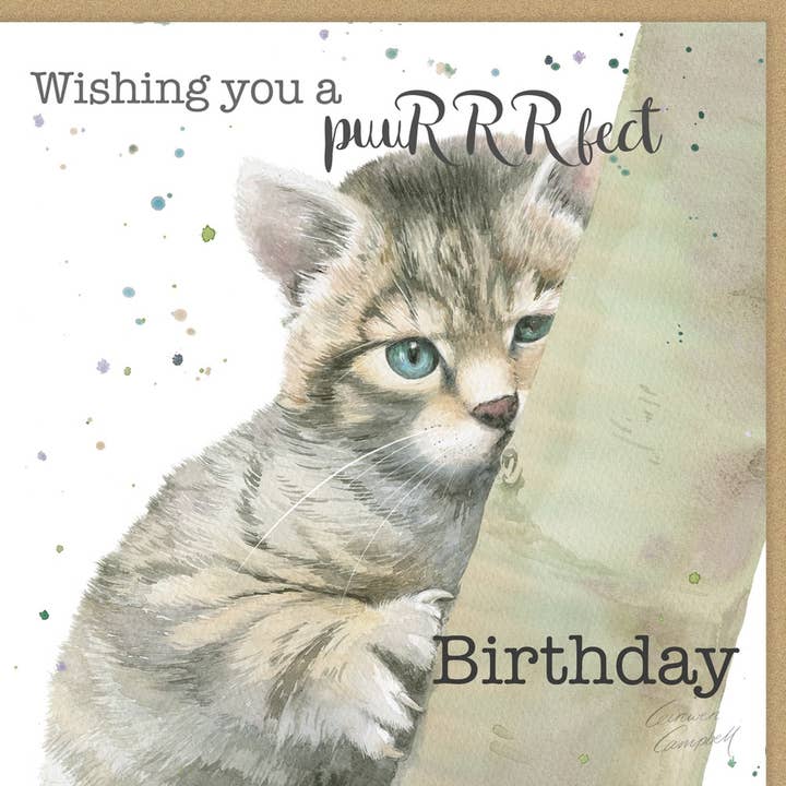 Biglietto di auguri di compleanno con gatto selvatico scozzese per la vendita all'ingrosso da parte di The Arty Penguin
