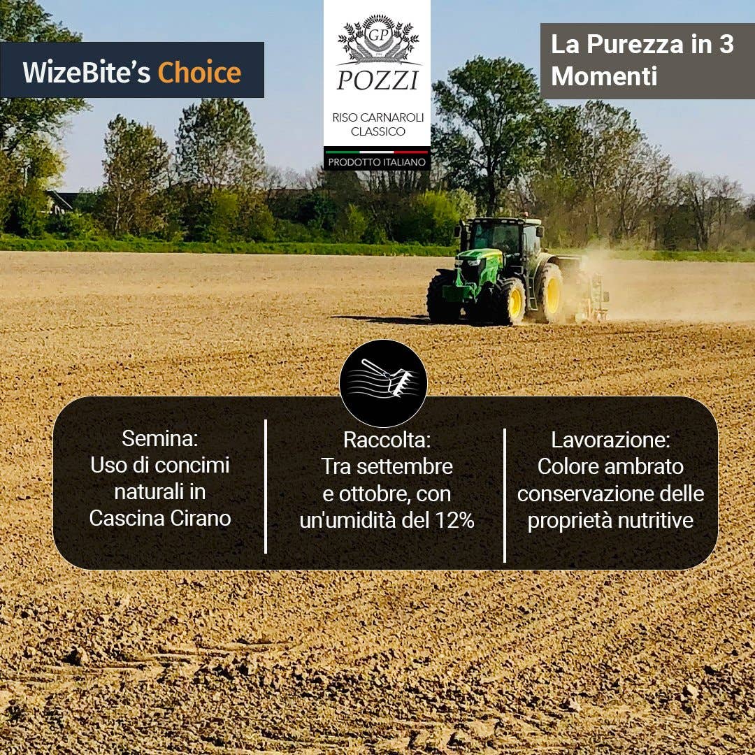 BENVOLIO.BIO by Wizebite S.r.l. SB - Wholesale Rice - POZZI Premium Carnaroli Risotto Rice Chef's Choice 1kg5