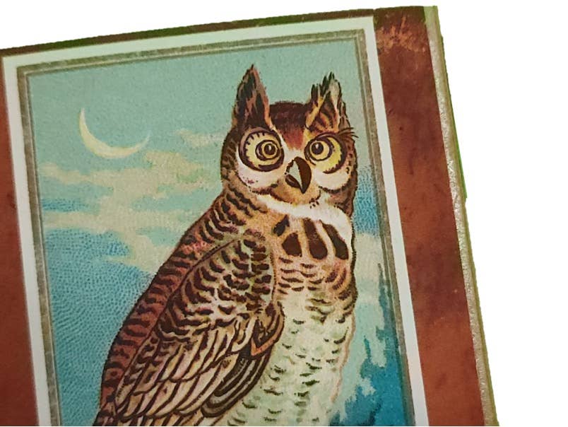 Superior Dry Goods - Wholesale Matches - "Edgar Allan Poe" Handmade Decorator Matchbox Lot5