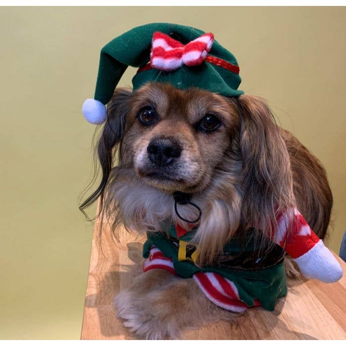 Wholesale 3D Elf Holiday Pet Costume for dog or cat great for