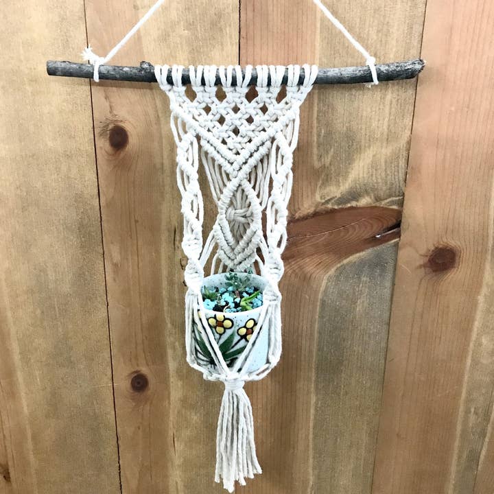 Tangled Up In Hue - Wholesale DIY Craft Kit - DIY Macrame Air Plant Hanger kit - The Anna