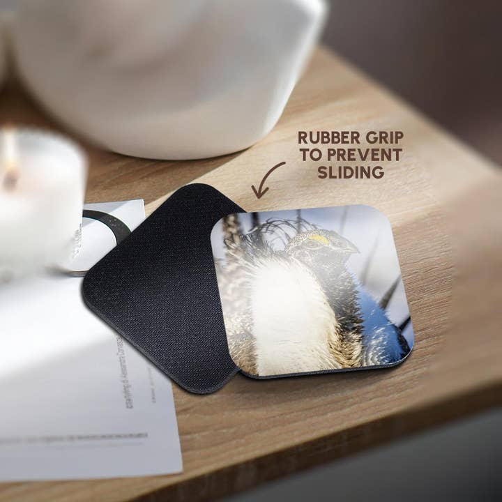 3dRose - Wholesale Coasters - 3dRose, USA, WY. Portrait of a male Greater Sage Grouse on a lek in Spring., Coaster10