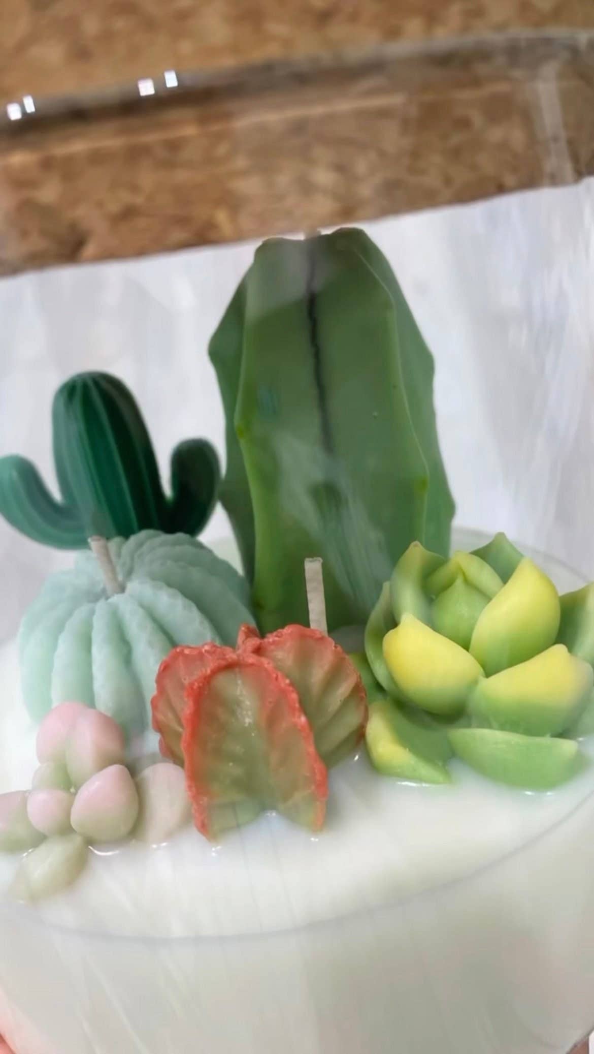 ZOETSTUDIO - Vente Bougies originales - Grande bougie pour terrarium à 3 mèches | Mélange de soja6