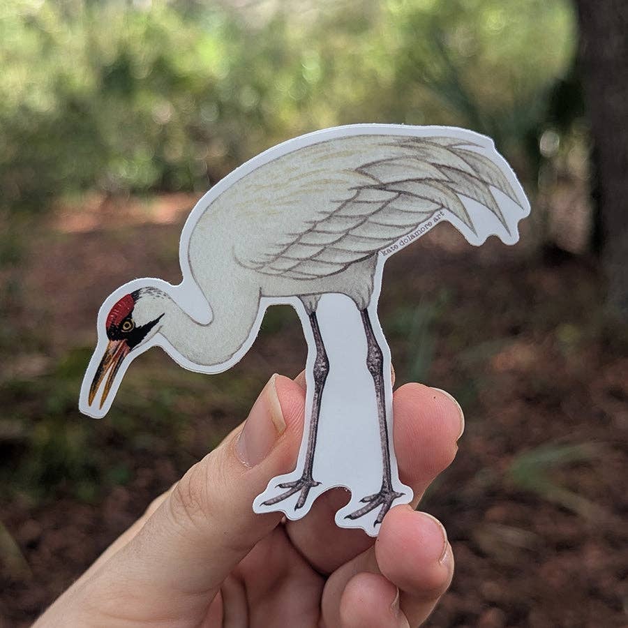 Kate Dolamore Art - Wholesale Sticker - Whooping Crane Standing Vinyl Bird Sticker1