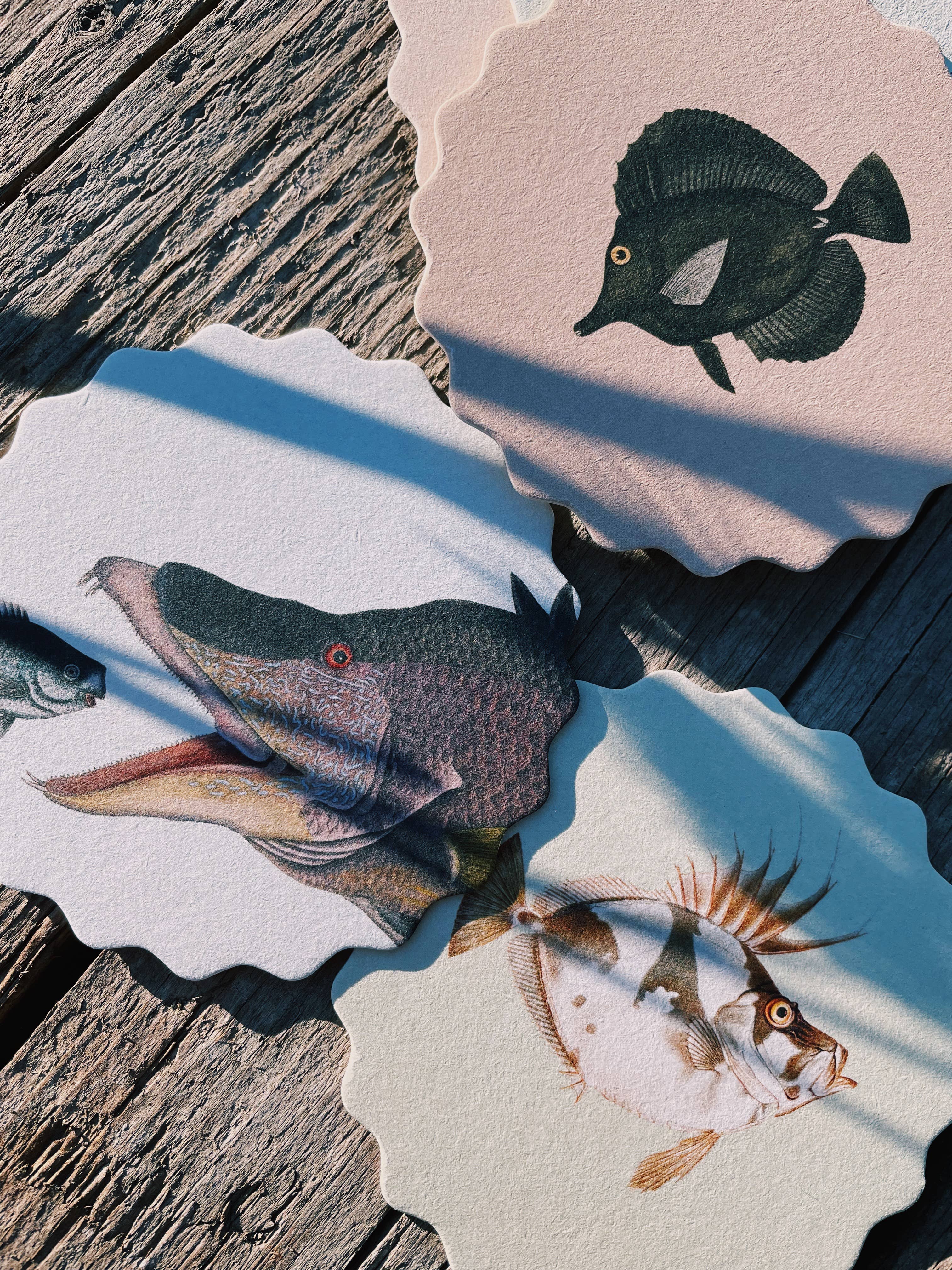 30x40 - Wholesale Coasters - Coaster Set Fish 🐠🐟🐡 8