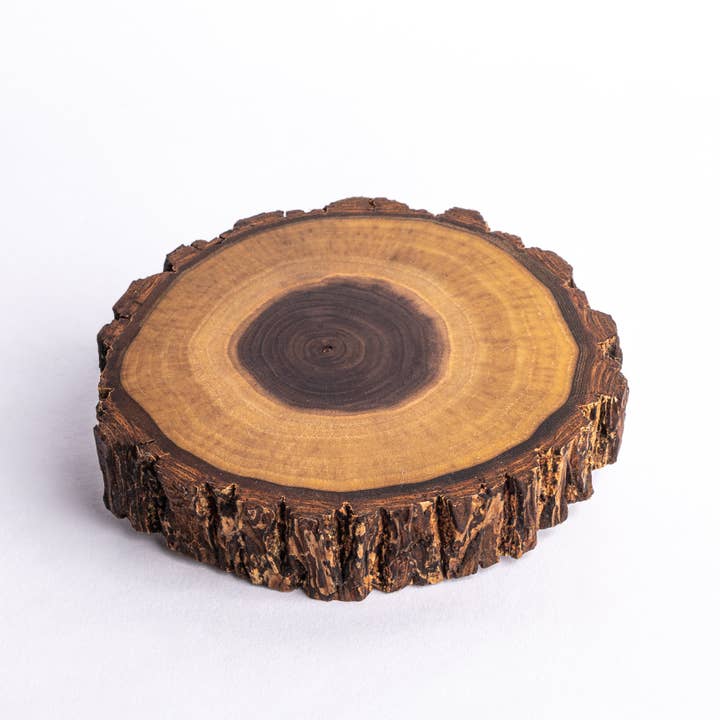 Blackswan Hourglass – wholesale Decorative tabletop object – Magnetic Sand Timer with Live Edge Walnut Base