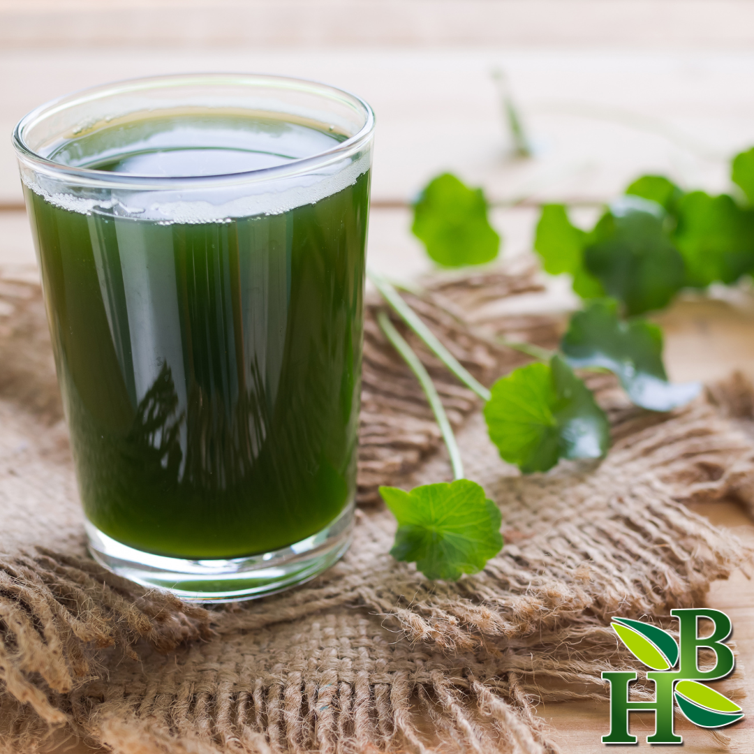 Herb To Body - Wholesale Kruiden - Gotu Kola Herb C/S1