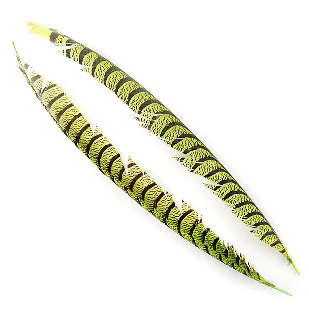 Zucker Feather Products - Vendita all'ingrosso Piume - Code di fagiano Lady Amherst - Lime1